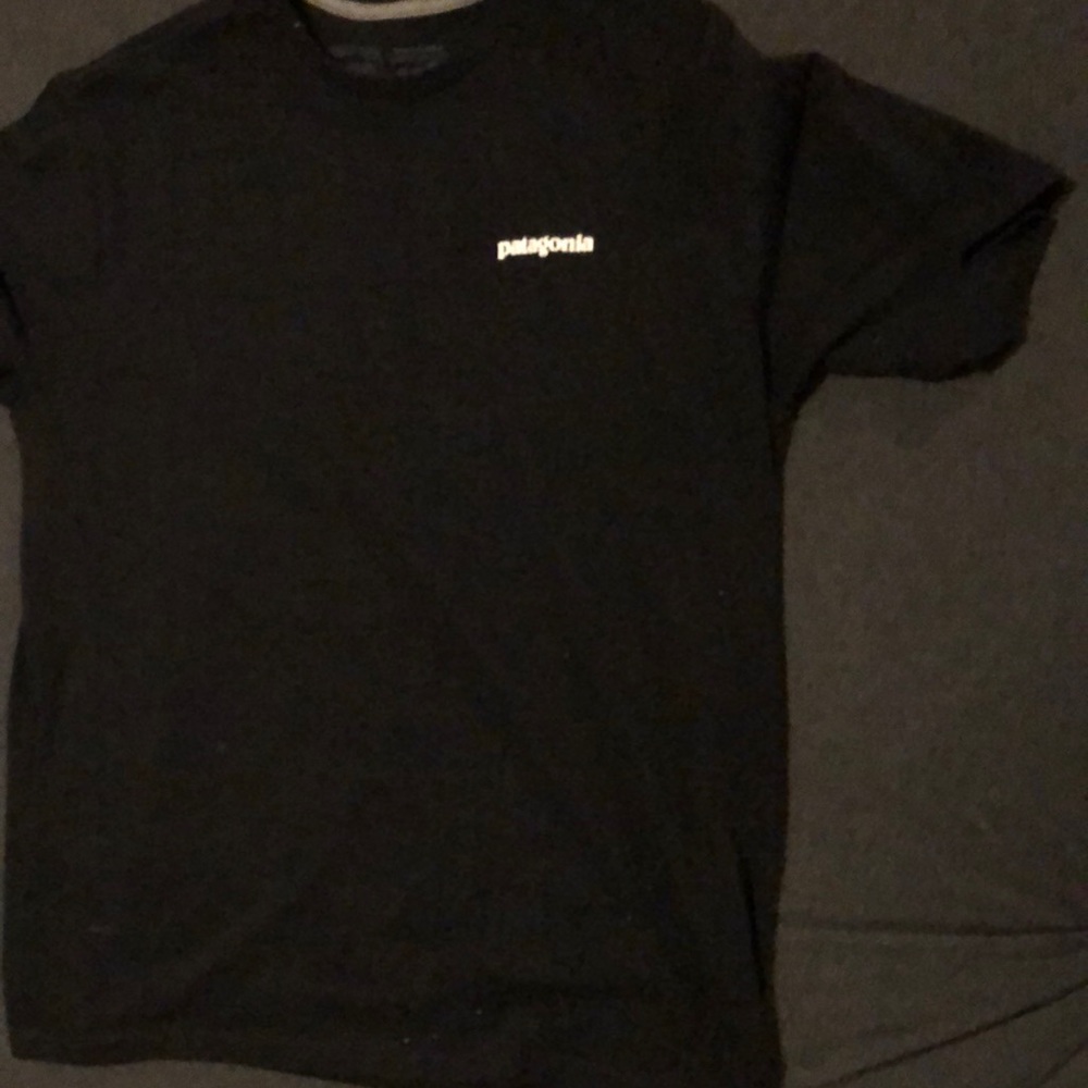 Patagonia shirt